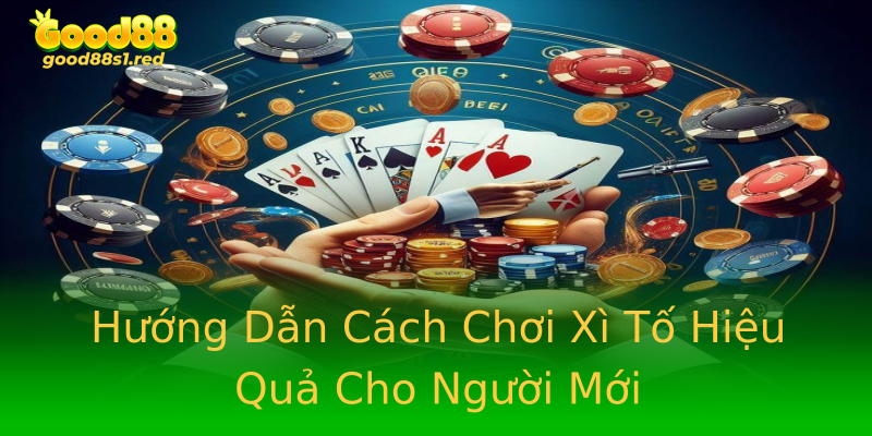 Hướng Dẫn Cách Chơi Xì Tố Hiệu Quả Cho Người Mới Hướng Dẫn Cách Chơi Xì Tố Hiệu Quả Cho Người Mới