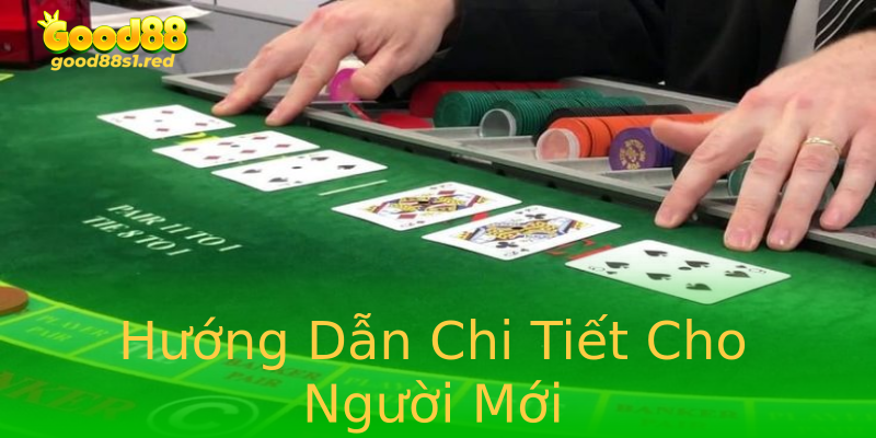 Hướng Dẫn Chi Tiết Cho Người Mới Hướng Dẫn Chi Tiết Cho Người Mới