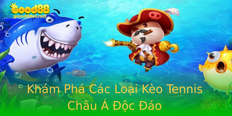 Khám Phá Các Loại Kèo Tennis Châu Á Độc Đáo Khám Phá Các Loại Kèo Tennis Châu Á Độc Đáo