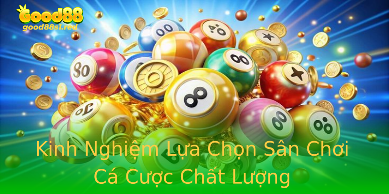 Kinh Nghiệm Lựa Chọn Sân Chơi Cá Cược Chất Lượng Kinh Nghiệm Lựa Chọn Sân Chơi Cá Cược Chất Lượng