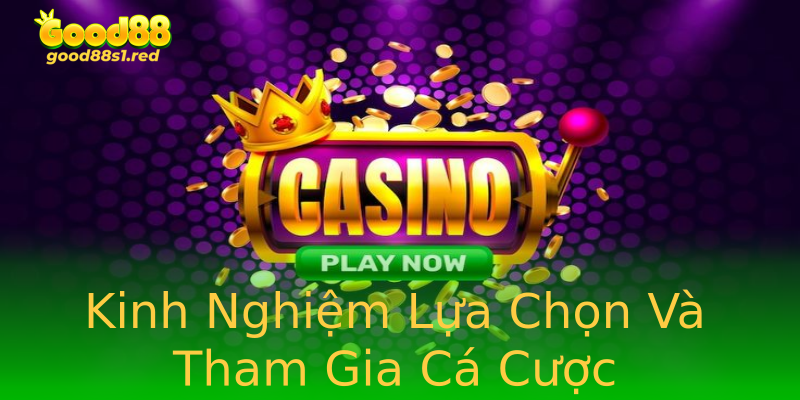 Kinh Nghiệm Lựa Chọn Và Tham Gia Cá Cược