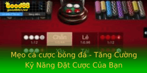 Meo Ca Cuoc Bong A Tang Cuong Ky Nang At Cuoc Cua Ban