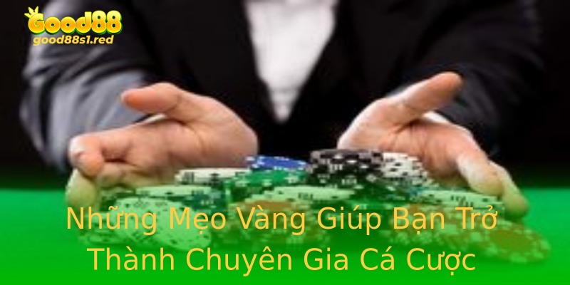 Những Mẹo Vàng Giúp Bạn Trở Thành Chuyên Gia Cá Cược Những Mẹo Vàng Giúp Bạn Trở Thành Chuyên Gia Cá Cược