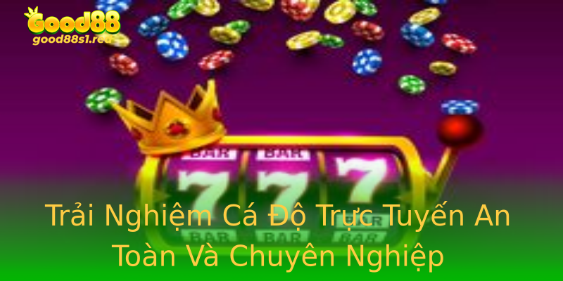 Trải Nghiệm Cá Độ Trực Tuyến An Toàn Và Chuyên Nghiệp