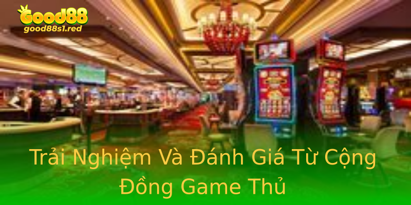 Trải Nghiệm Và Đánh Giá Từ Cộng Đồng Game Thủ Trải Nghiệm Và Đánh Giá Từ Cộng Đồng Game Thủ